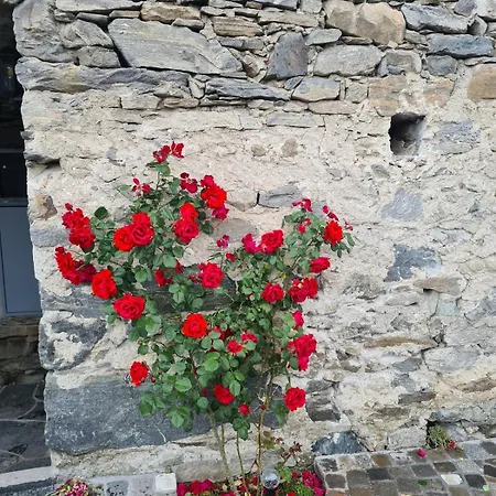 Hébergement de vacances Rustico 'casa Lupi' *