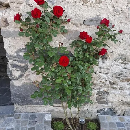 Rustico 'casa Lupi' *